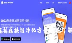 2025必看：全方位解析区块链净化方案，抢先了解