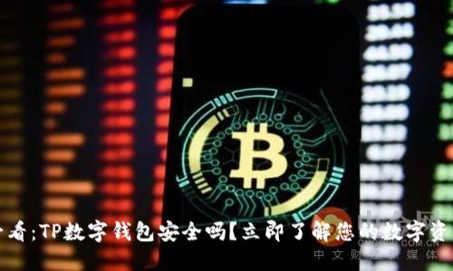 2025必看：TP数字钱包安全吗？立即了解您的数字资产保护！