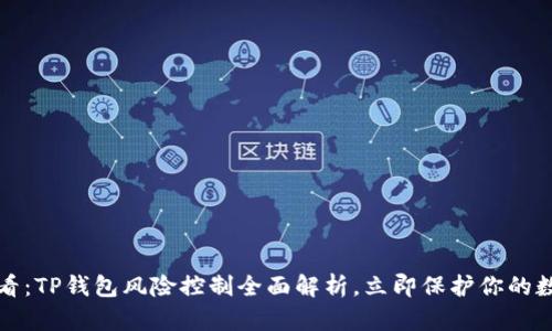 2025必看：TP钱包风险控制全面解析，立即保护你的数字资产！