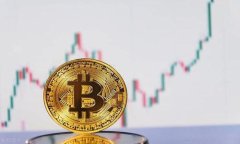 2025必看：掌握TP钱包的全部知识，立即提升你的