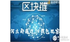 2025必看：如何立即通过TP钱包观察数字货币价格