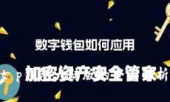 2025必看！t p钱包大陆版的全面解析与使用指南