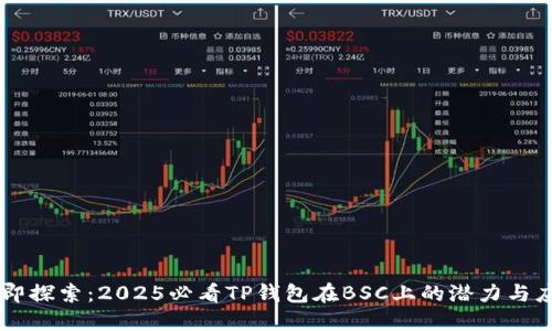立即探索：2025必看TP钱包在BSC上的潜力与应用