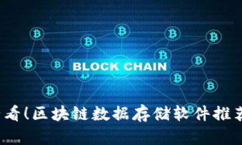 2025必看！区块链数据存储软件推荐与分析