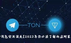 TP钱包突然消失？2023年你必须了解的应对策略