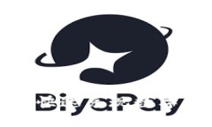 2025必看：如何从TP钱包快速兑现数字货币？立即