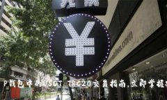 2025必看：T P钱包中的USDT TRC20交易指南，立即掌握