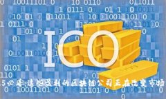 2025必看：这些盈利的区块链公司正在改变市场格
