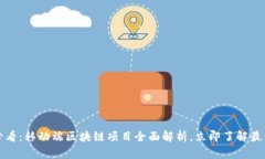 2025必看：移动端区块链项目全面解析，立即了解