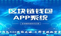 2025必看：TP钱包BSC跨链攻略，立即掌握数字资产
