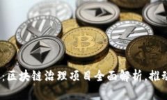 2025必看：区块链治理项目全面解析，推动未来发