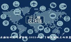 区块链的反对者分析：2025必看，了解不同观点的
