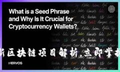 2025必看：最新区块链项目解析，立即掌握未来科