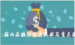 2025必看：国内区块链发展现状及重点国产链盘点