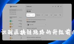2025必看：如何识别区块链跑路的升级前兆，保护