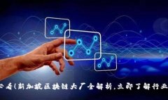 2025必看！新加坡区块链大厂全解析，立即了解行