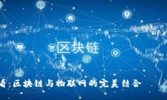 : 2025必看：区块链与物联网的完美结合——催化