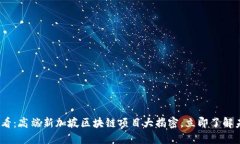 2025必看：高端新加坡区块链项目大揭密，立即了