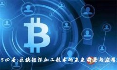 2025必看：区块链深加工技术的未来前景与应用现