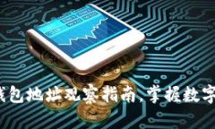 2025必看：TP钱包地址观察指南，掌握数字资产安