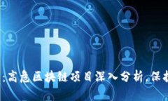 2025必看：高危区块链项目深入分析，保护你的投