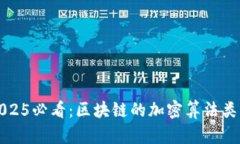 解锁2025必看：区块链的加密算法类型详解