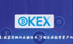 2025必看：国家落地的区块链币，了解这些数字资