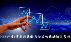 2025必看：浦东新区最具潜力的区块链公司推荐