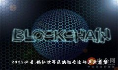 2025必看：揭秘世界区块链奇迹的五大类型