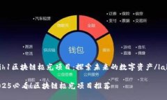 laih1区块链极光项目：探索未来的数字资产/laih