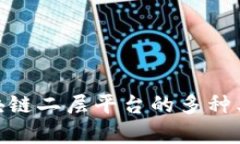 2025必看：区块链二层平台的多种类型与应用前景