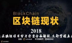 2025必看：区块链项目分片方案全面解析，立即掌