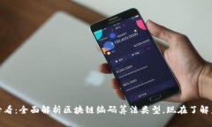 : 2025必看：全面解析区块链编码算法类型，现在