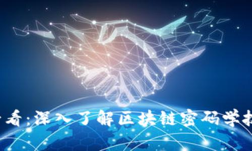 2025必看：深入了解区块链密码学技术算法