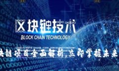 2025必看：山东区块链项目全面解析，立即掌握未
