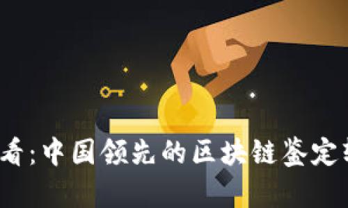 2025必看：中国领先的区块链鉴定软件推荐