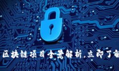 2025必看：青岛区块链项目全景解析，立即了解未