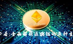 2025必看：全面解析区块链的五种主要类型