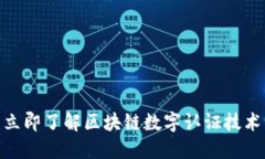 2025必看：立即了解区块链数字认证技术的最新发