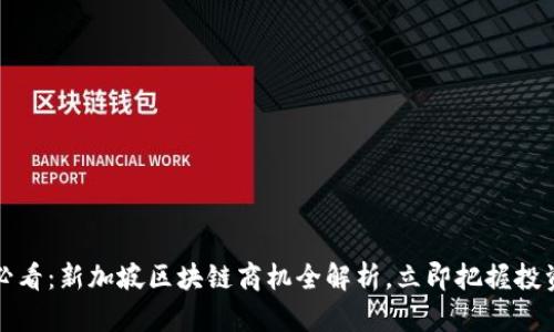 2025必看：新加坡区块链商机全解析，立即把握投资良机！