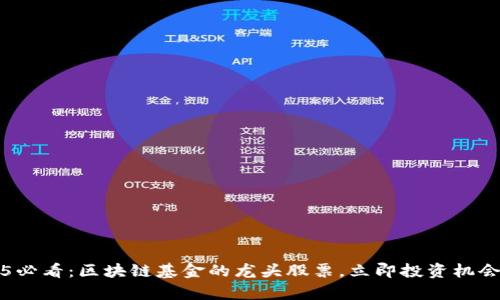 2025必看：区块链基金的龙头股票，立即投资机会解析
