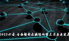 2025必看：全面解析区块链的特点与未来发展