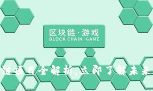 2025必看：区块链项目全解析，立即了解未来数字经济的趋势