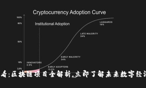 2025必看：区块链项目全解析，立即了解未来数字经济的趋势