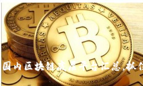 2025必看：国内区块链底层平台汇总，抓住时代机遇！