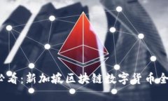 2025必看：新加坡区块链数字货币全景指南