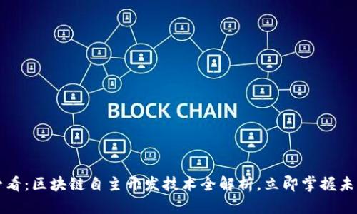 2025必看：区块链自主开发技术全解析，立即掌握未来趋势！