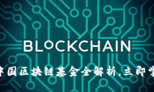 2025必看：中国区块链基金全解析，立即掌握投资机会