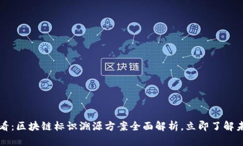 2025必看：区块链标识溯源方案全面解析，立即了解未来科技!