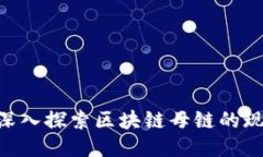 : 2025必看：深入探索区块链母链的现状与未来趋